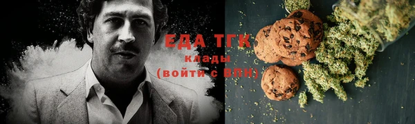 сатива Новозыбков