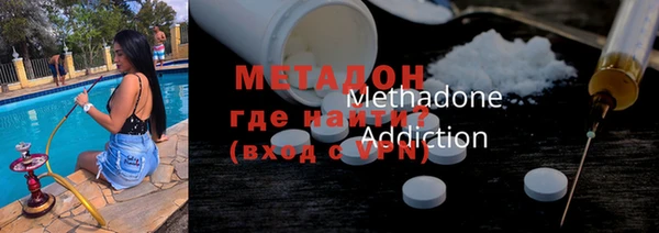 сатива Новозыбков