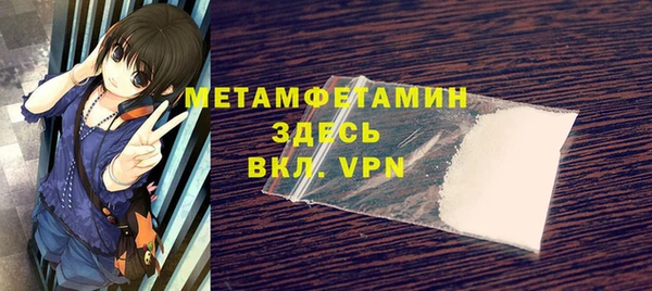 сатива Новозыбков