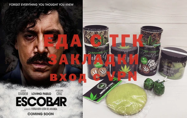 сатива Новозыбков