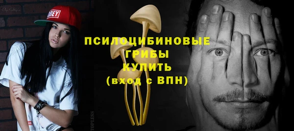 сатива Новозыбков