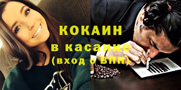 сатива Новозыбков