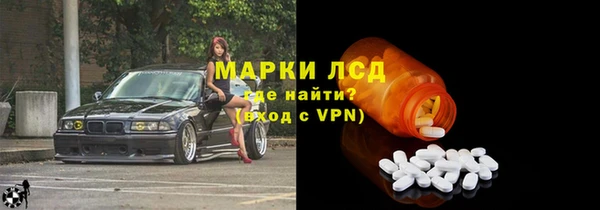 сатива Новозыбков