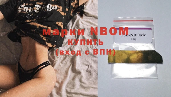 сатива Новозыбков
