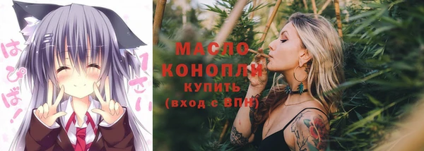 сатива Новозыбков