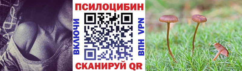 Купить где  Завитинск  Галлюциногенные грибы прущие грибы 