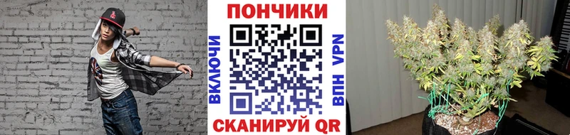 Бошки марихуана гибрид  Купить где  Завитинск 